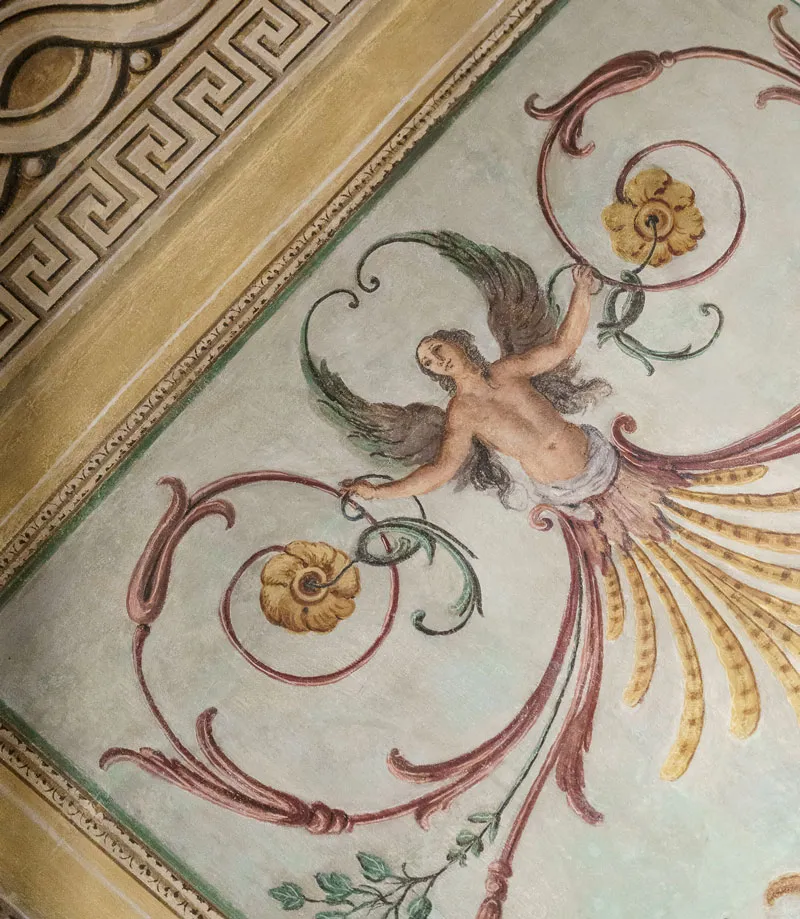 Short Nutraceutical Training